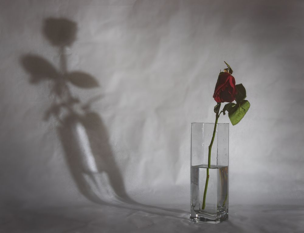 Photograph by Мария Камендова