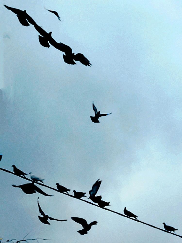 Photograph by Lora Kuralovi