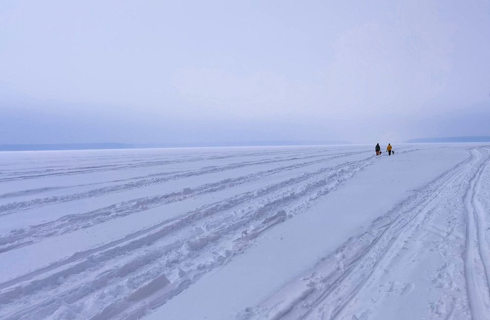 Photograph by Юлия