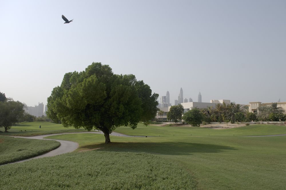 Photograph by Демьян Лопатов