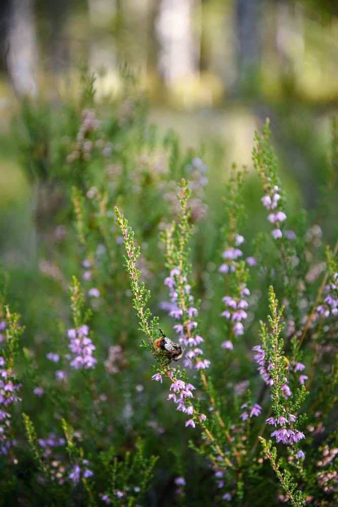 Photograph by Vera_PF