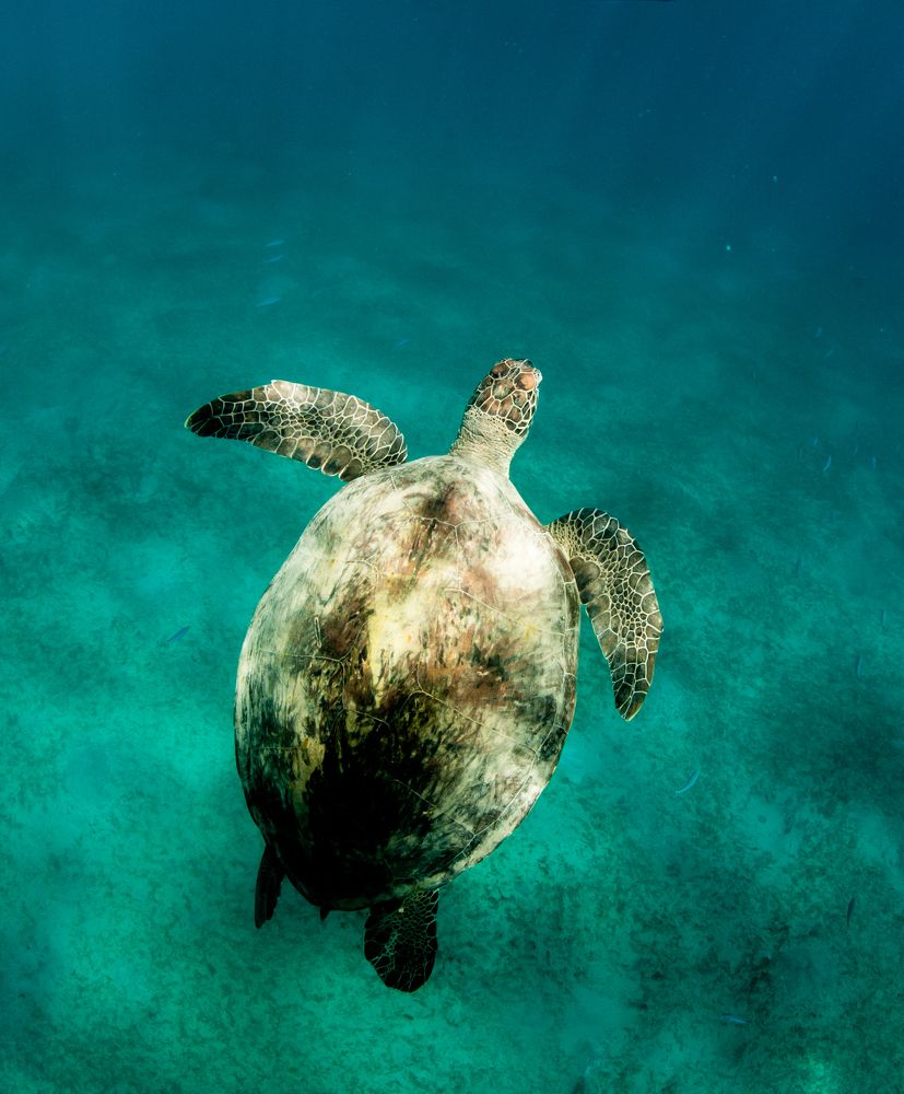 Photograph by Karasev Pavel