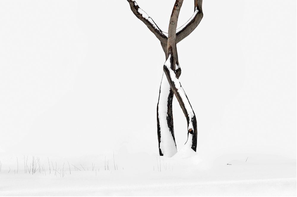 Photograph by Варвара Штерн