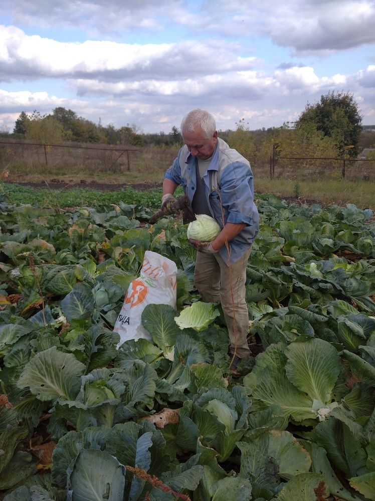 Photograph by Елена Коробченко