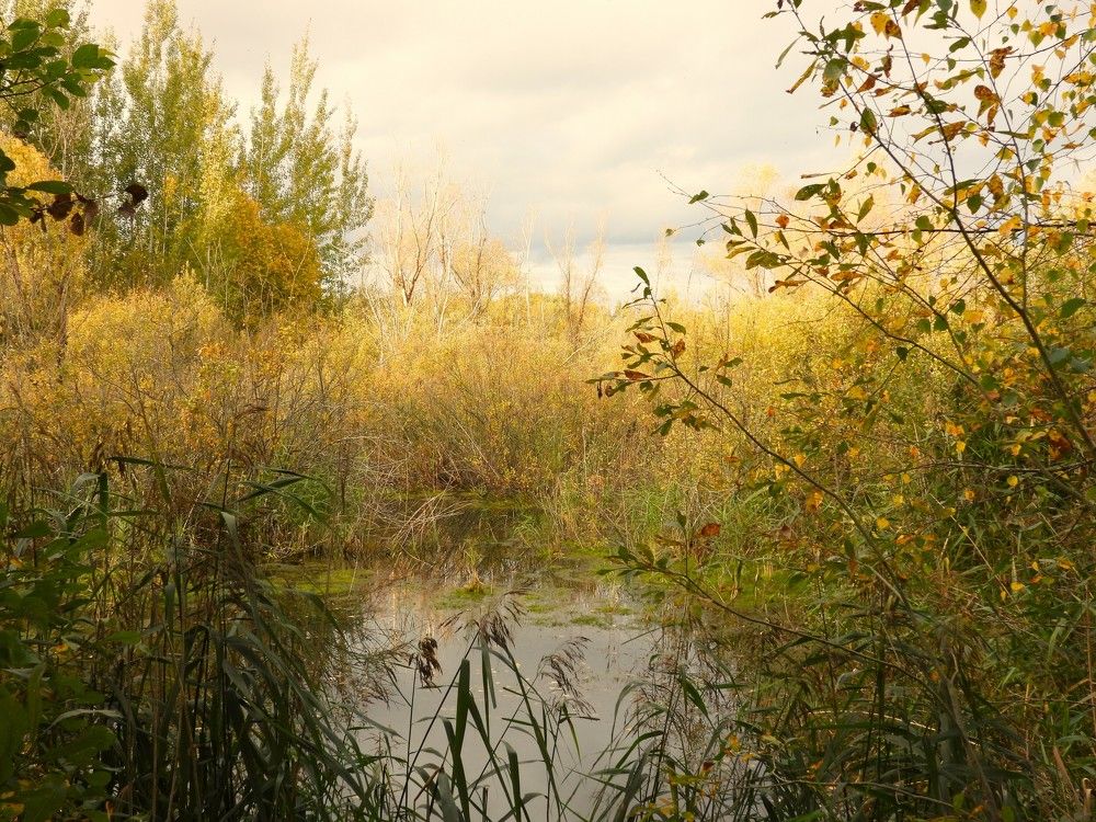 Photograph by Владимир Джерихов