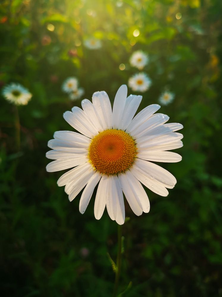 Photograph by Юлия