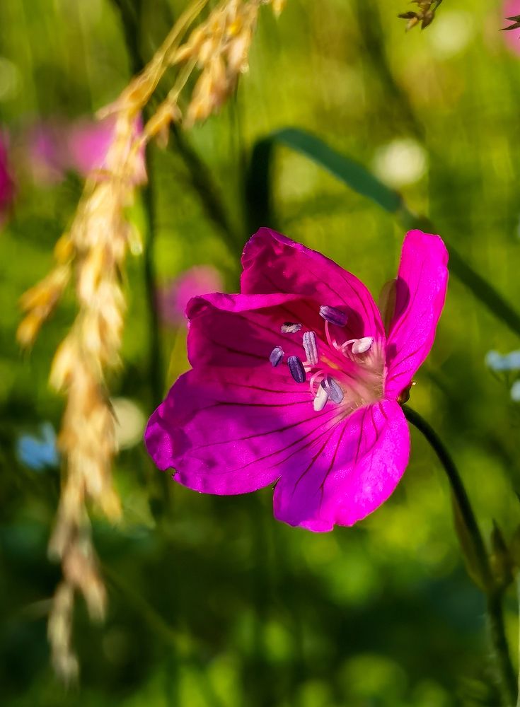 Photograph by Юлия