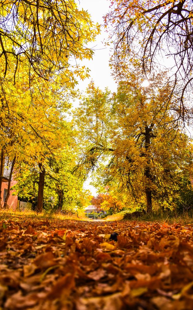 Photograph by Валентина