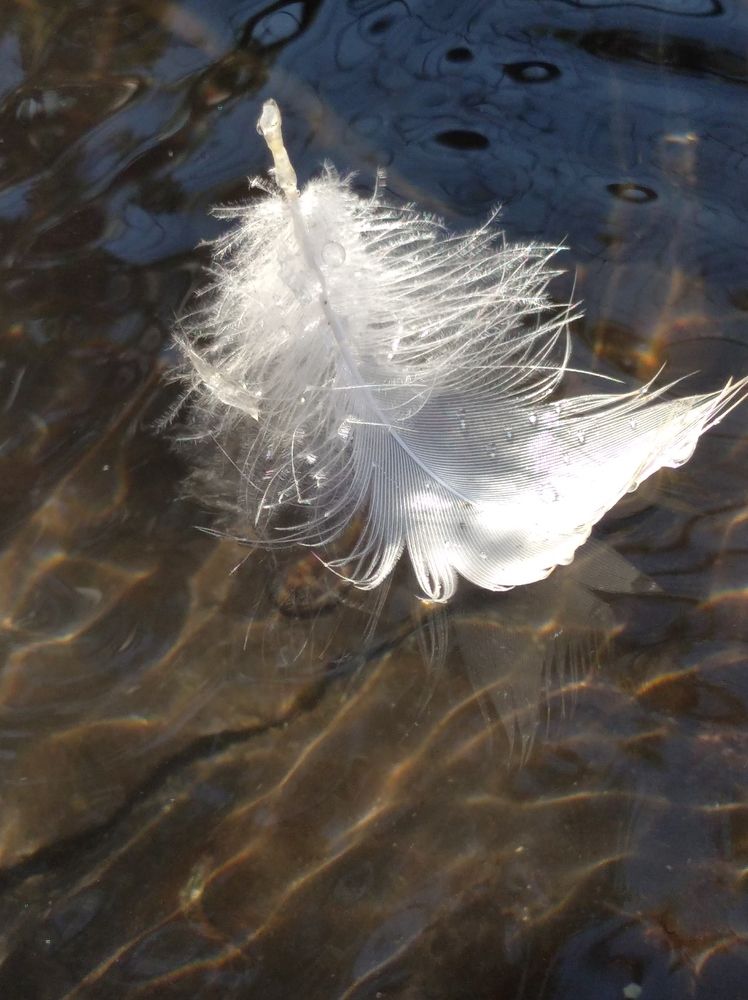 Photograph by Елена Коробченко