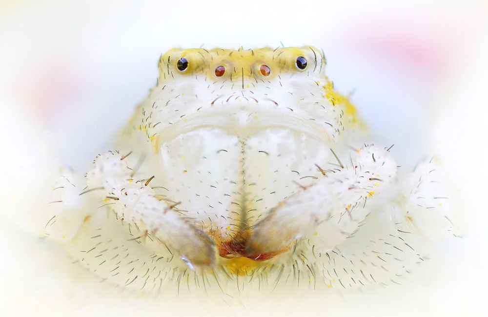 Photograph by Кузнецов Дмитрий