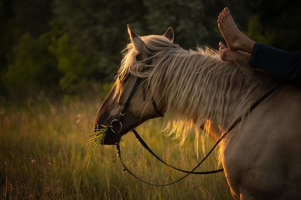 Photograph by Людмила Колядицкая