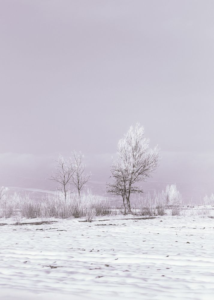 Photograph by Farzad Ajori