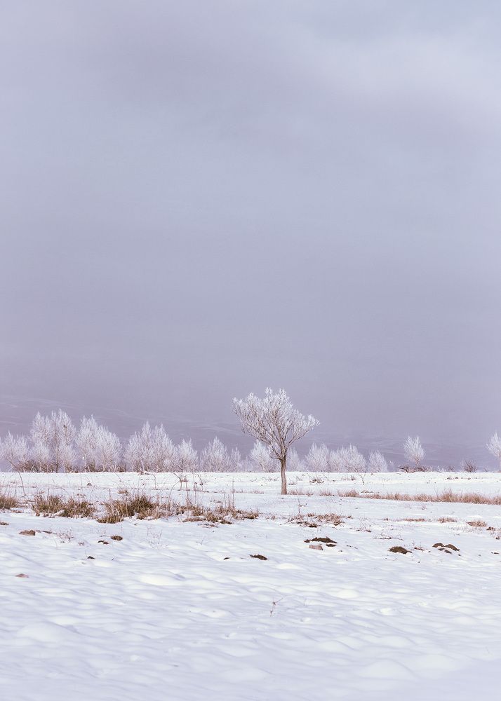 Photograph by Farzad Ajori