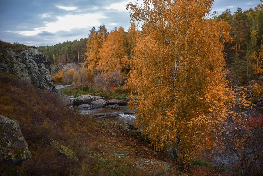 Photograph by Виктория Шамурина
