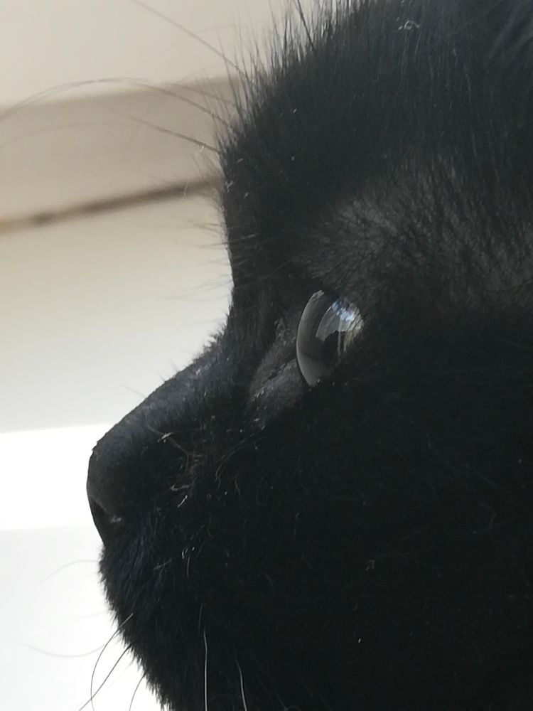 Photograph by Evgeniya Burkaeva