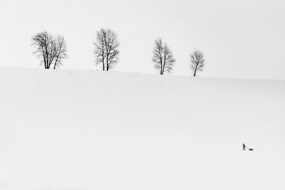 БЕЛАЯ  ДОРОГА