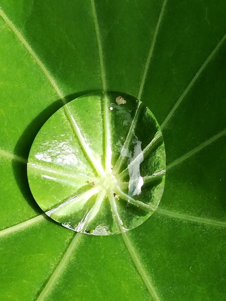 Photograph by Evgeniya Burkaeva