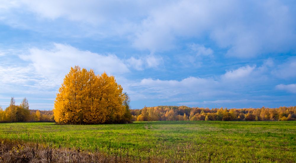Photograph by Александр Трошин