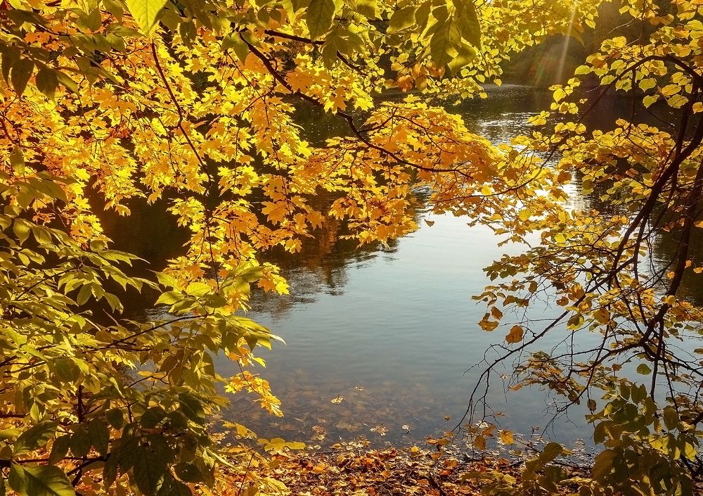 Photograph by IRINA KORNEVA