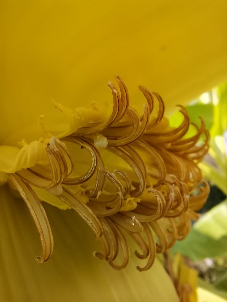 Photograph by Наталья Круглова