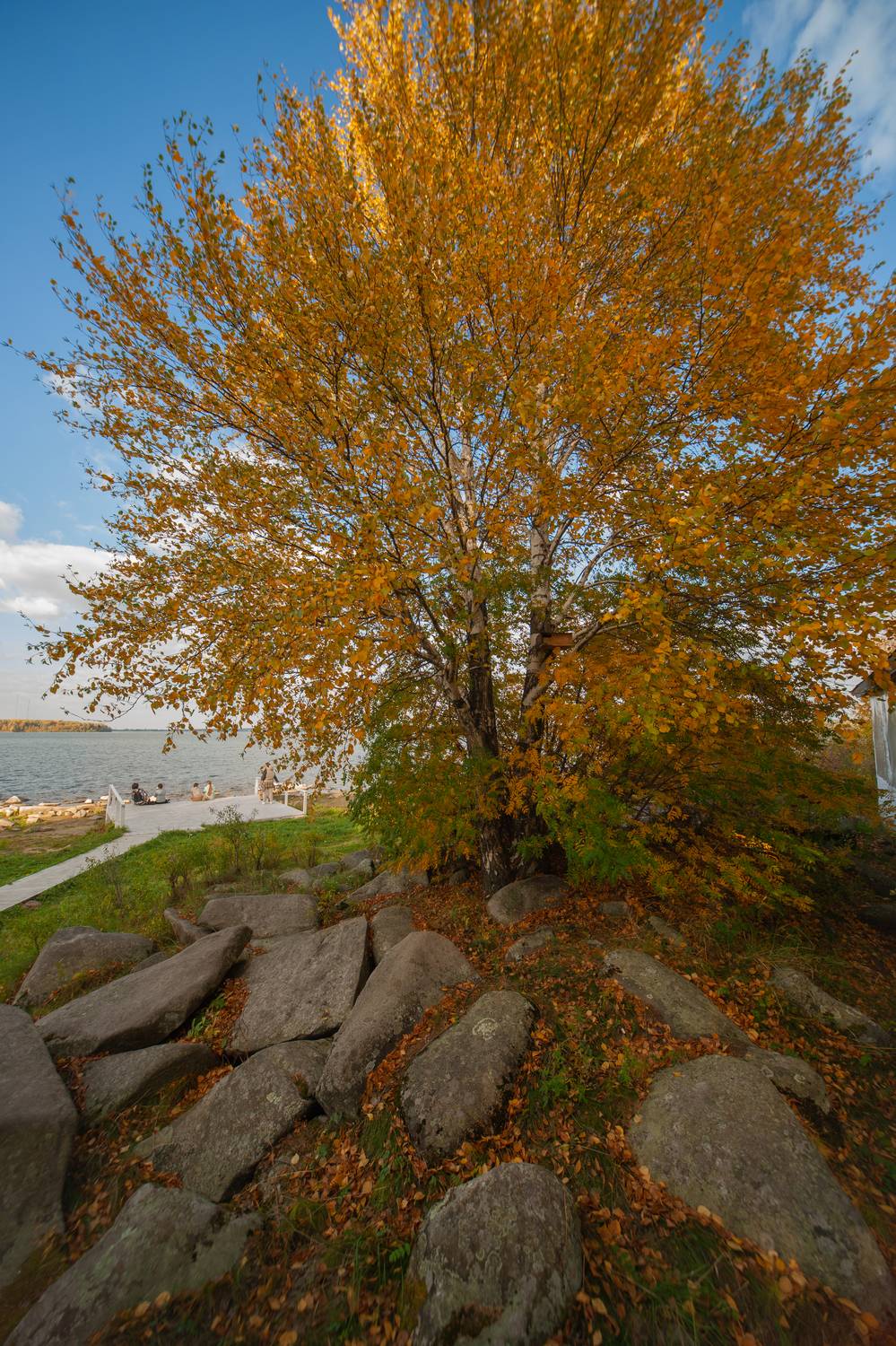 Photo #9632812