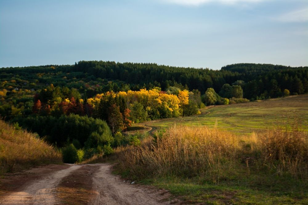 Photograph by Илья Долгушев