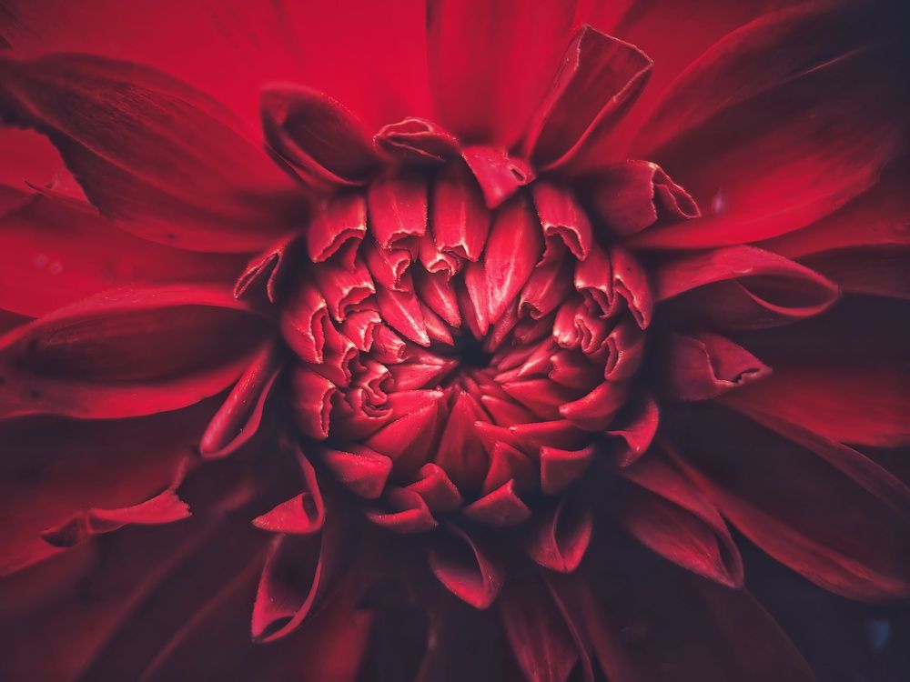 Photograph by Ekaterina Fadeeva