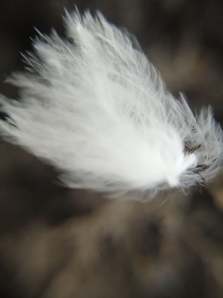 Photograph by Ekaterina Fadeeva