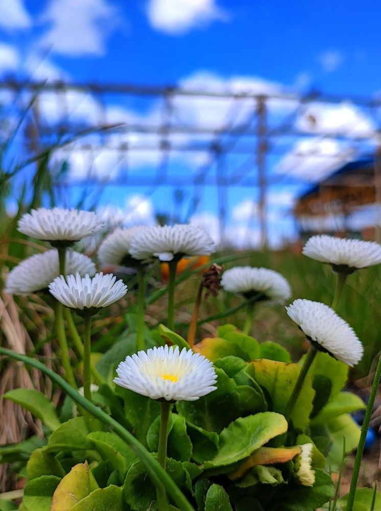 Photograph by Kamran Shirani