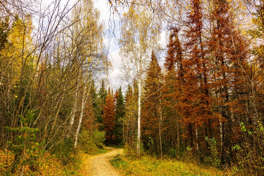 Photograph by Артём Александрович