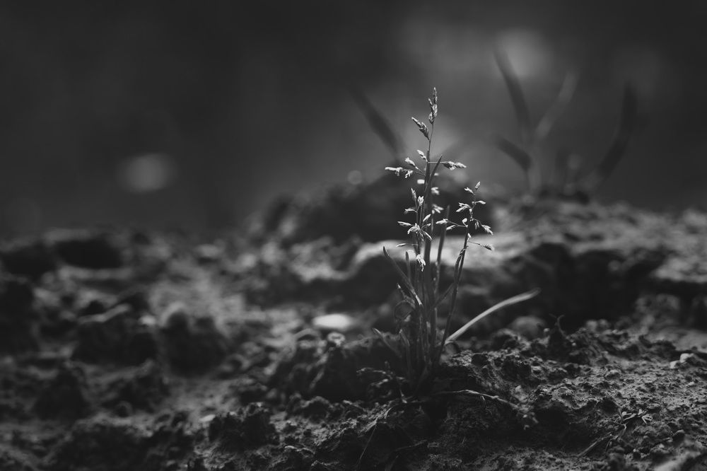 growing up