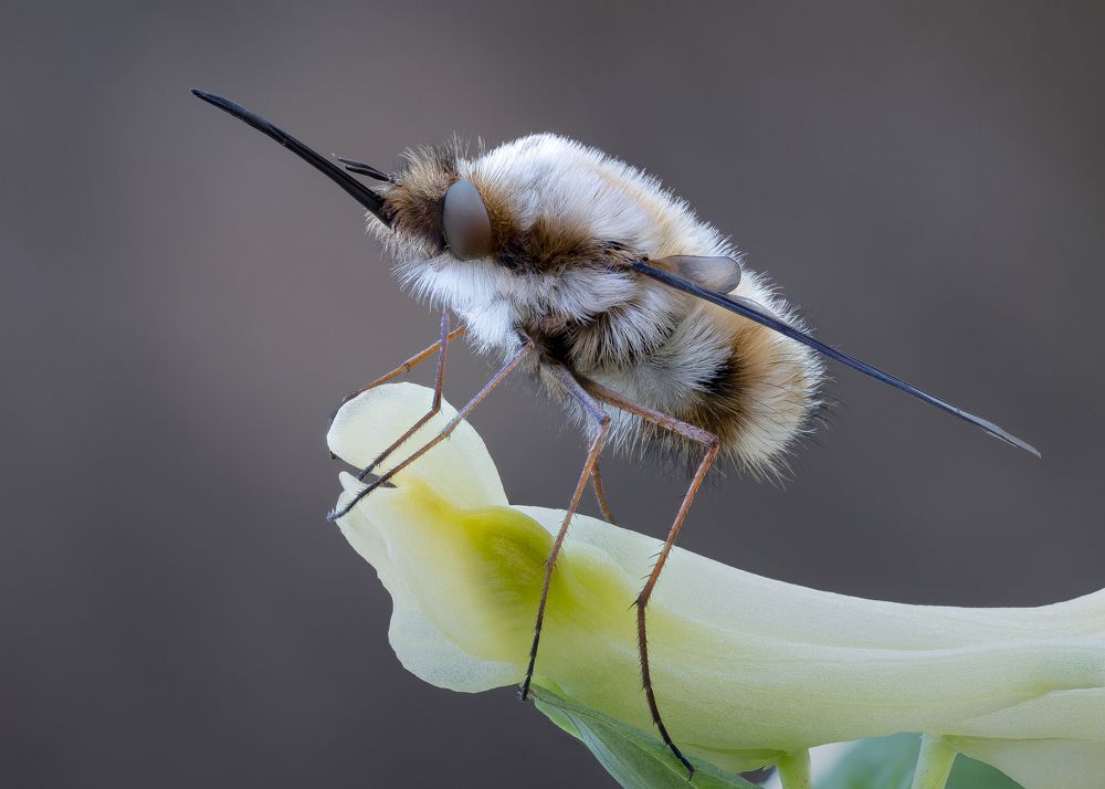 Photograph by Кузнецов Дмитрий