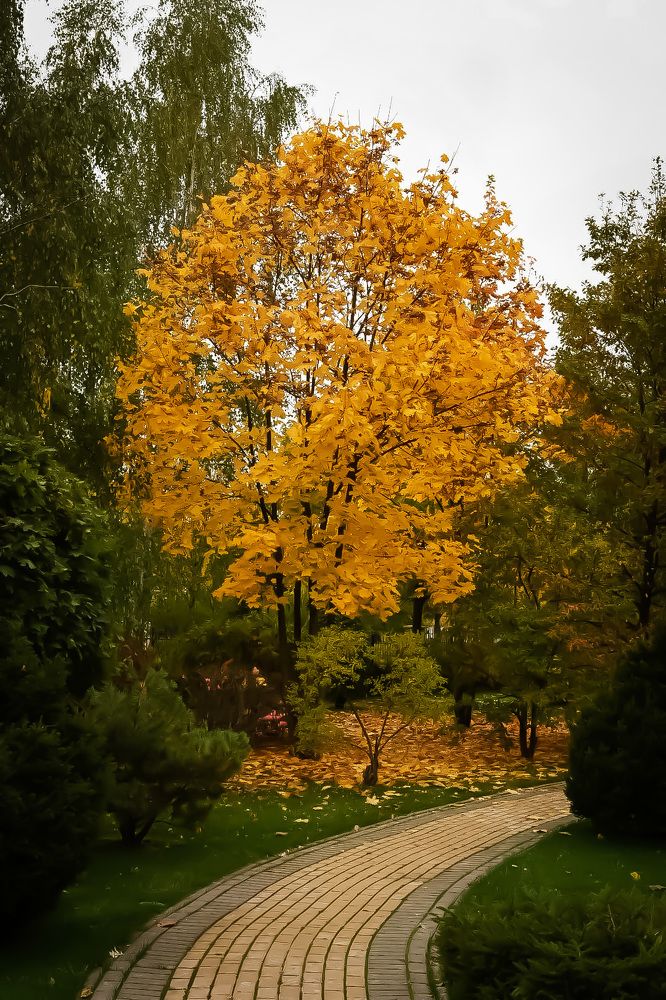 Photograph by Ирина Александрова