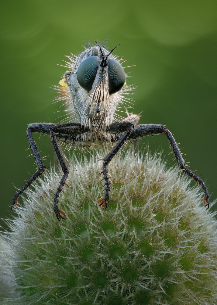 Photograph by Кузнецов Дмитрий