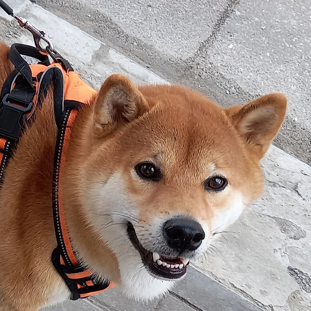 Photograph by Ирина Архипова