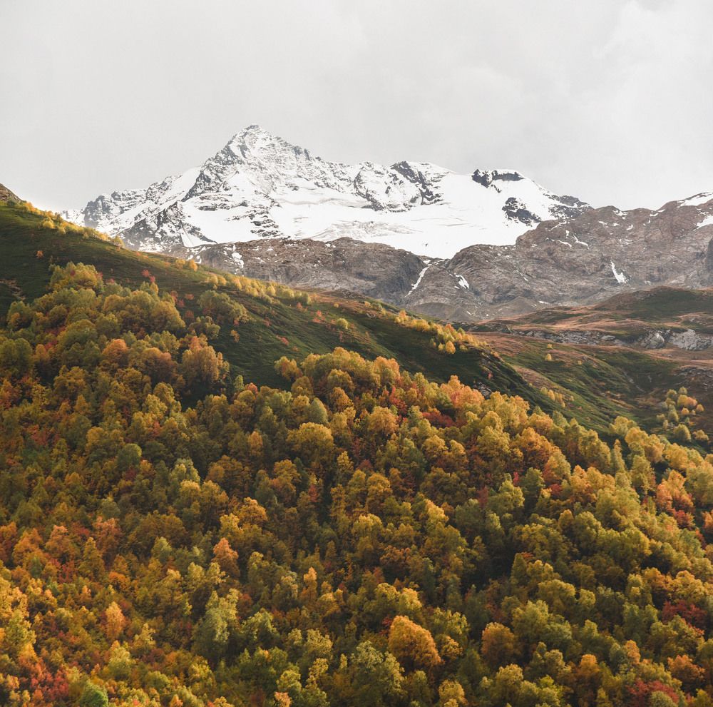 Photograph by Артур Биттиров