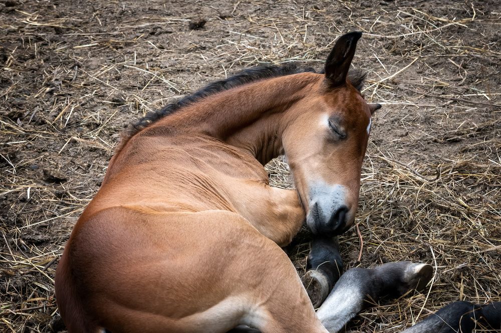 Фотография автора Александр Рудный
