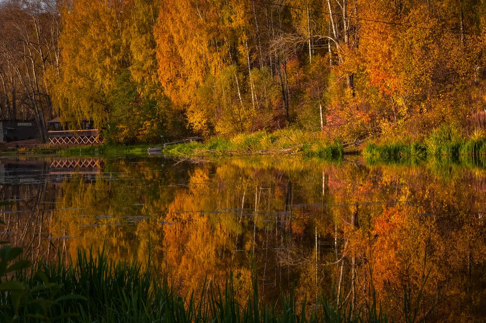 Photograph by Ольга Александрова