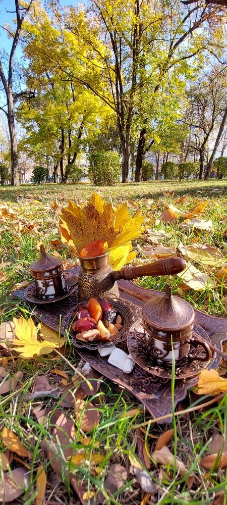 Photograph by Марина Жарикова