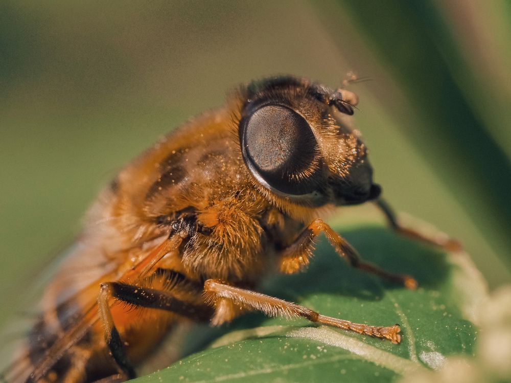 Photograph by Ирина Протченко