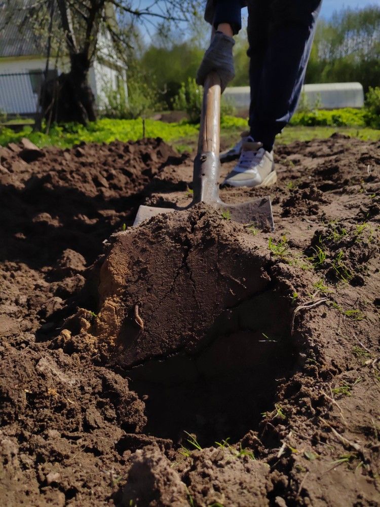 Фотография автора Anna Tsybulskaya