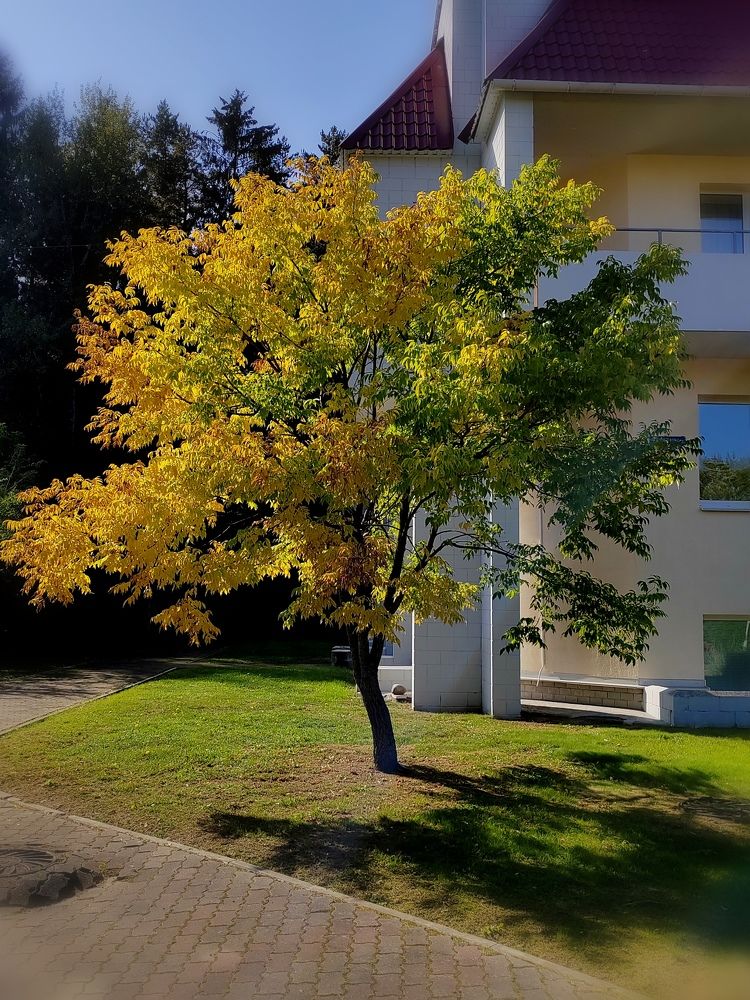 Ещё лето или уже осень