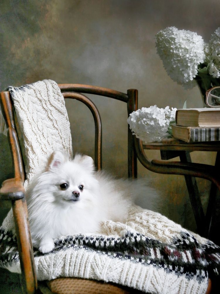 Photograph by Елена Бородина