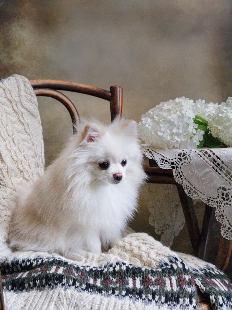 Photograph by Елена Бородина