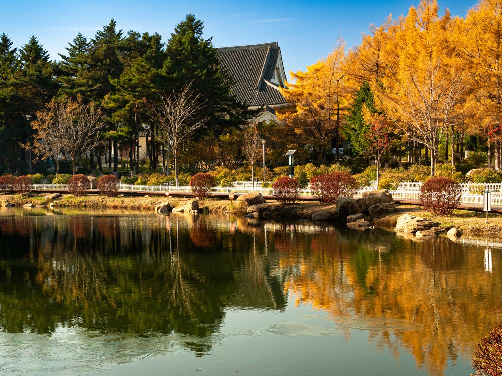 Autumn colors reflection
