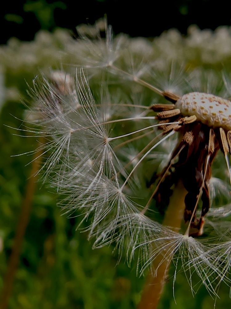 Фотография автора Anna Tsybulskaya