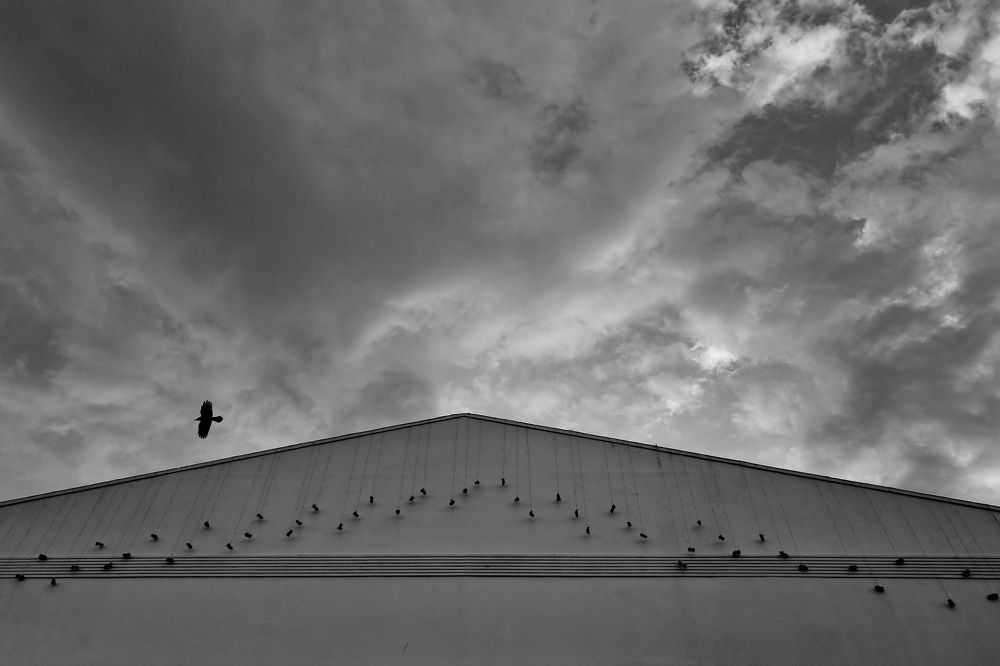 Photograph by Saumyadip Bhowmick