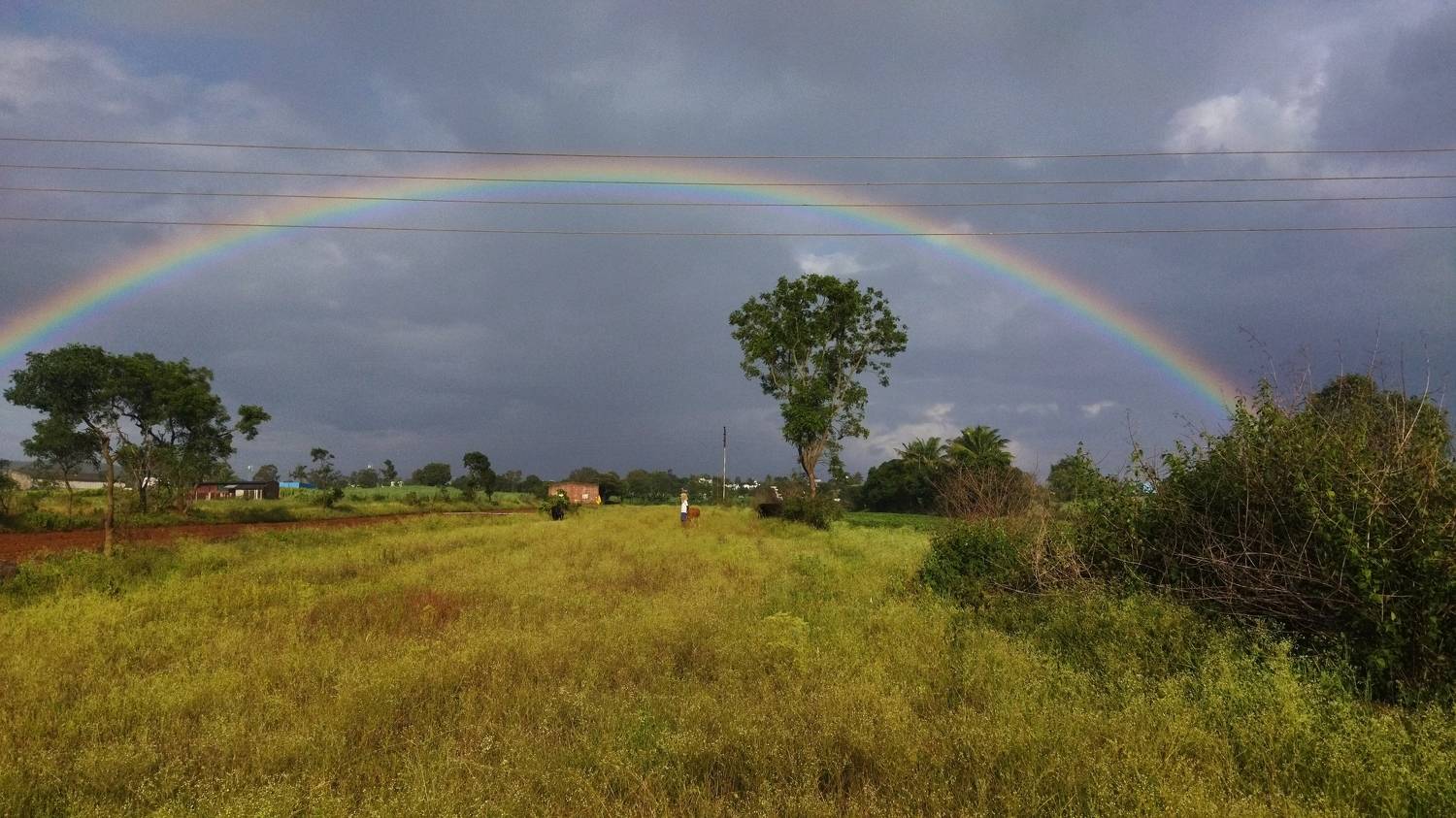 Photo #9633020