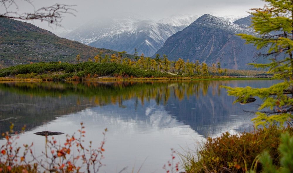 Фотография автора Александр Довганюк