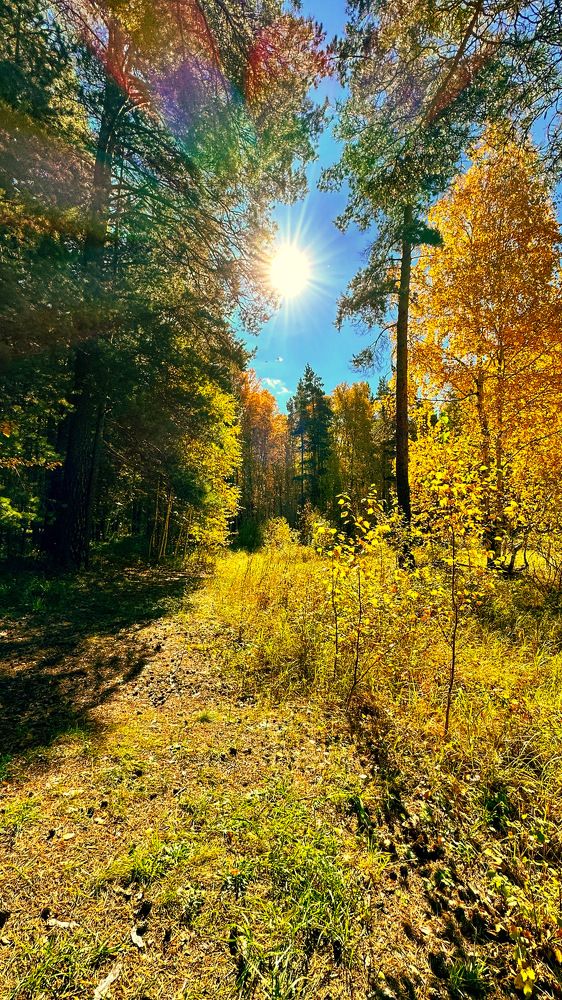 Photograph by Татьяна Галаева